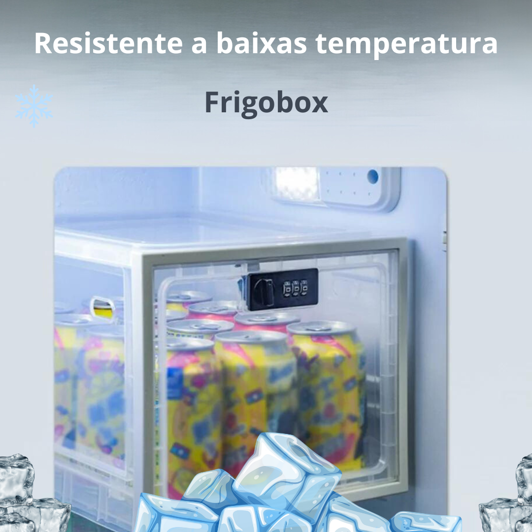 Frigobox - A Solução Ideal para Proteger Seus Pertences